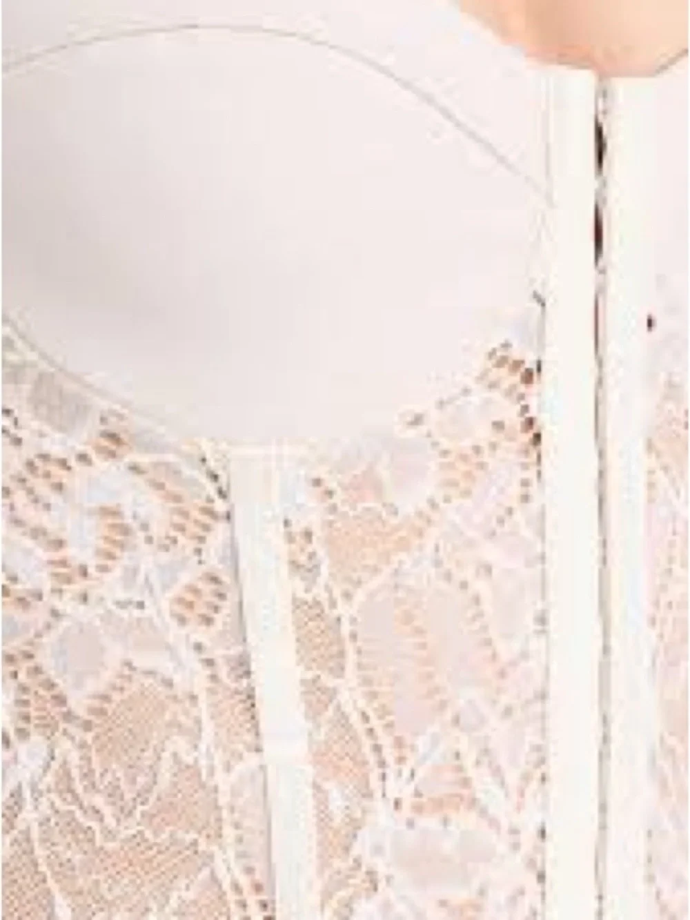 Free People Night Rhythm Lace Bodysuit